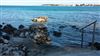 Treppe ins Meer